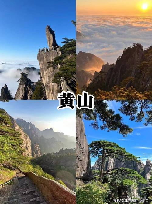 黄山3天捡18个孩子,黄山3天捡18个孩子多少钱