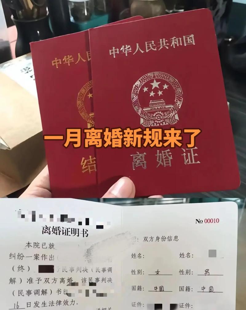 93岁男子起诉离婚,93岁男子起诉离婚案例